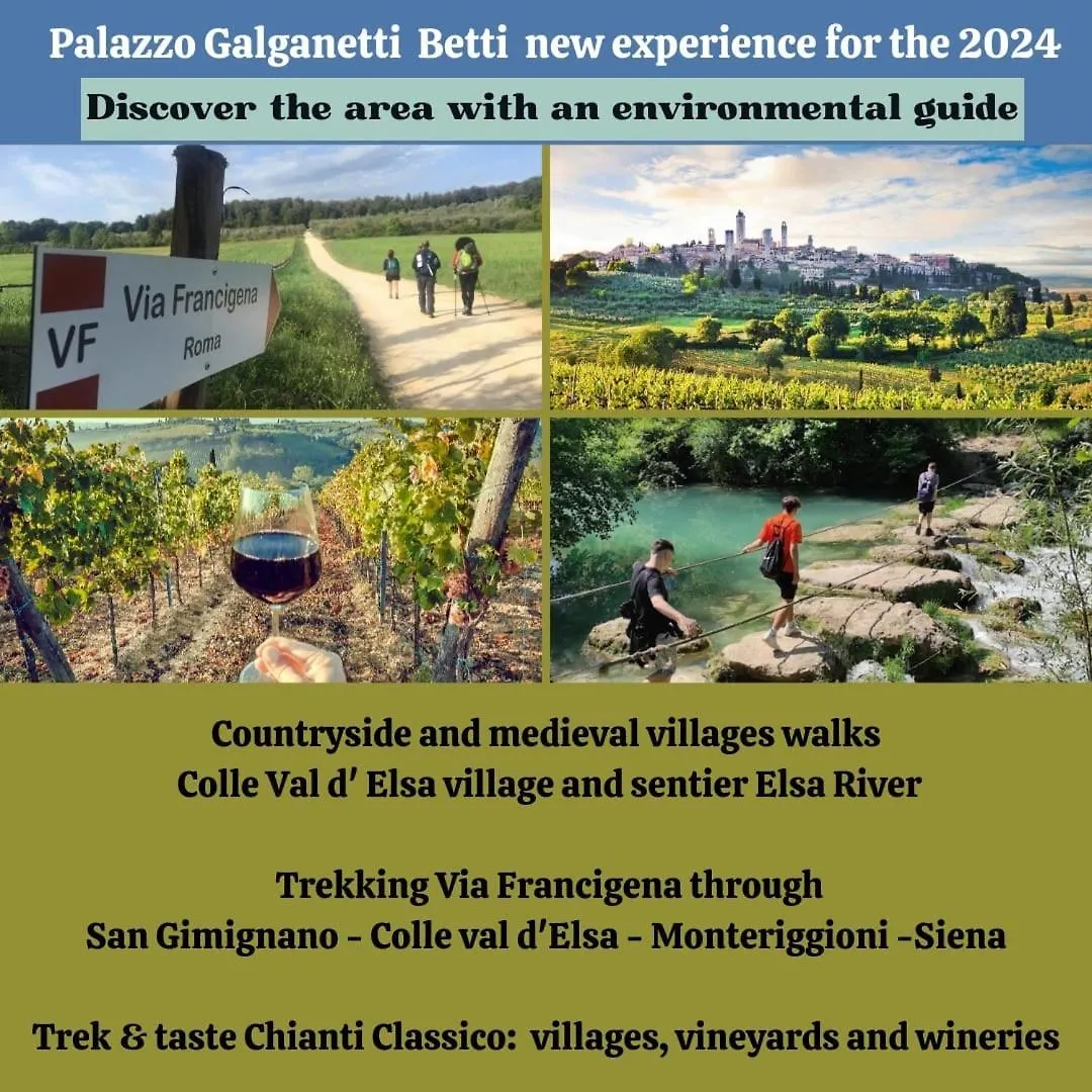 Сasa de vacaciones Villa Palazzo Galganetti Betti Colle di Val d'Elsa